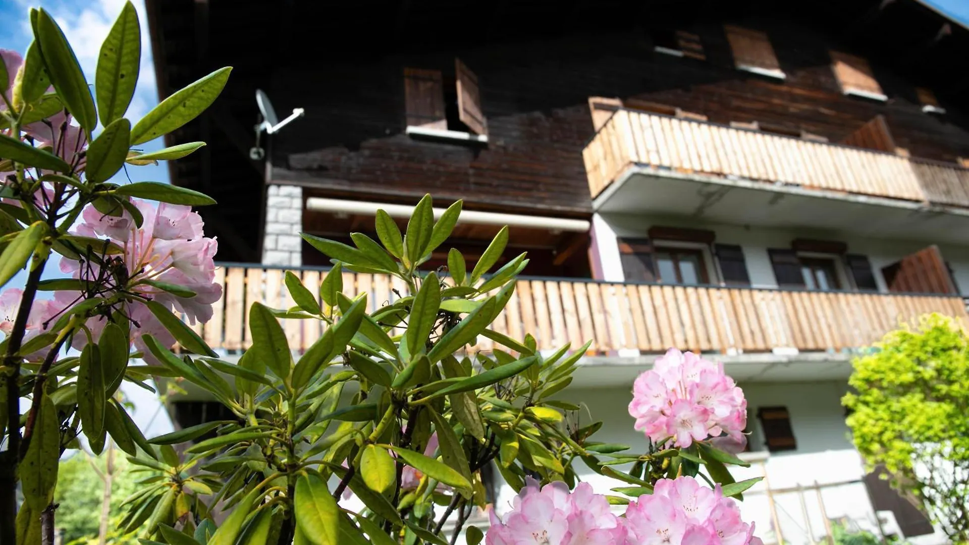 Lejlighed Appartement 6 Pers Chalet Tournier Les Gets